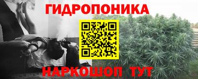 прущие грибы Бузулук