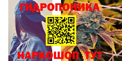 прущие грибы Бугуруслан