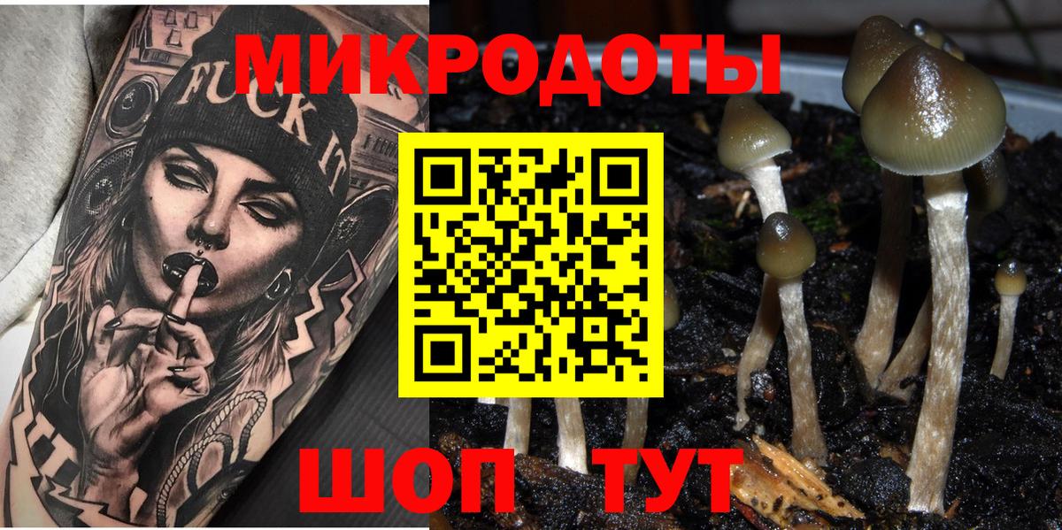 Нефтекамск  Псилоцибиновые грибы прущие грибы  Вход с VPN 